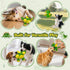 BBeary 5 (Green,10") Squeaky Dog Toys - Soft Plush Dragon Dog Toy with Squeakers & Crinkle Paper, Dog Toys for Small