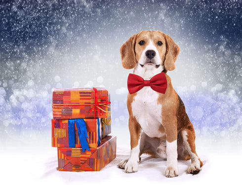 Amajiji Dark Red Formal Dog Bow Ties for Medium & Large Dogs (D114 100% Polyester)