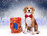 Amajiji Dark Red Formal Dog Bow Ties for Medium & Large Dogs (D114 100% Polyester)