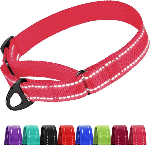 CollarDirect Reflective Martingale Dog Collar, Heavy Duty Nylon Training for Small Medium Large Dogs (S, Neck 11"-15",