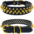 TEEMERRYCA Black Leather Dog Collar with Gold Spikes for Small Medium Large Pets, Pit Bulls/Bulldogs, XS (8.3"-10.6")