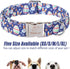 Easter Dog Collar with Egg Rabbit Design, Adjustable for Medium Dogs, Safety Metal Buckle for Small Large Boys & Girls
