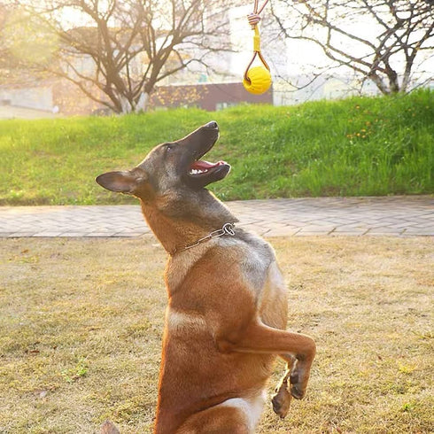 Rope-Ball Pet Toys, Durable Rubber Ball, Indestructible Chew Toy for Outdoor Training