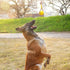 Rope-Ball Pet Toys, Durable Rubber Ball, Indestructible Chew Toy for Outdoor Training