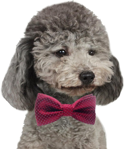 YOY Handcrafted Adorable Pet Bow Ties, 6-Pack Adjustable Neck Tie 10"-17" for Dogs and Cats