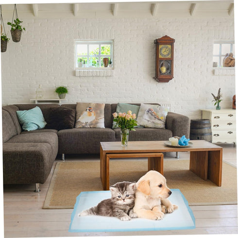 20-Pack Disposable Dog Pee Pads Leakproof PET Urine Mats for Home Outdoor Training Super Absorbent PET Changing Mats