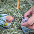 Baby Bird Feeding Syringe Set, 20ml Pet Parrot Milk Feeding Syringe with Tubes for Scientific Industrial Labs