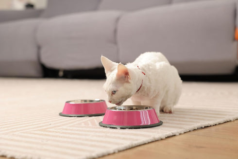 Stainless Steel Dog Bowls | Food and Water Non-Slip Anti-Skid Stackable Dishes for Small, Medium, Large Dogs (2 Pack)