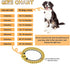 Heavy Duty Cuban Link Chain Dog Collars - 15MM Gold/Silver Stainless Steel Metal Training Collars for Large Medium