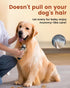 2 1 Trimmer, PAPMINI in Dog Grooming Kit, Low Noise Rechargeable Dog Clippers for Grooming, Cordless Dog Grooming