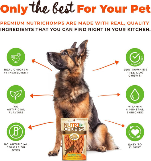 NutriChomps Dog Chews, 6-inch Braids, 4 Count Rawhide-Free Treats, Easy to Digest, Real Peanut Butter Flavor