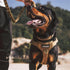 EXCELLENT ELITE SPANKER Tactical Dog Harness Vest, Adjustable No Pull Harness for Small Medium Large Dogs