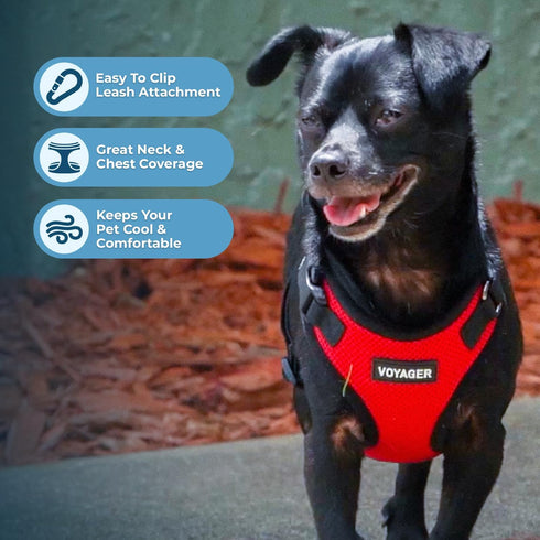 Voyager Step-in Lock Pet Harness by Best Pet Supplies, Adjustable All Weather Mesh for Cats and Dogs, XL Red/Black Trim