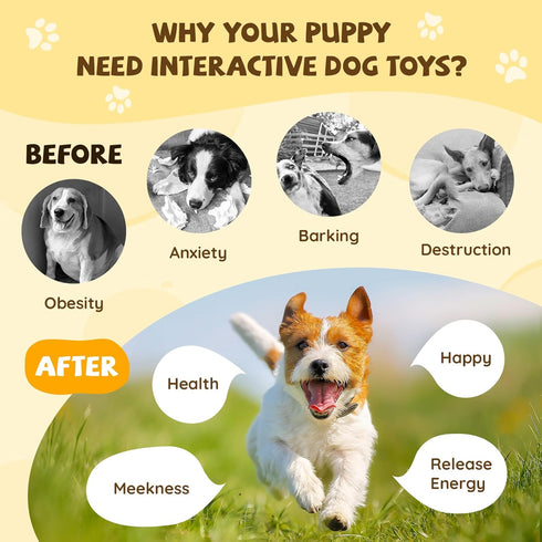 COPHCY Moving Dog Ball, Jumping Squeaky Interactive Dog Toys, Plush Chew Toys for Small/Medium/Large Dogs, USB