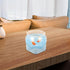 GALPADA Desktop Fish Tank Shrimp Tank Fish Bowl Planter, Impact-Resistant Plastic, Large Size for Desk Decoration