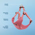 Best Pet Supplies Voyager Adjustable Dog Vest Harness - No Pull, Breathable for Small, Medium, Large Dogs, Pink, M