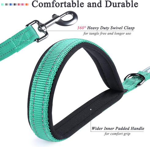 VIVAGLORY Dailyx Dog Leash, Puppy Leash for Training & Walking, Heavy Duty Double Layer Nylon, 6ft x 1in, Green