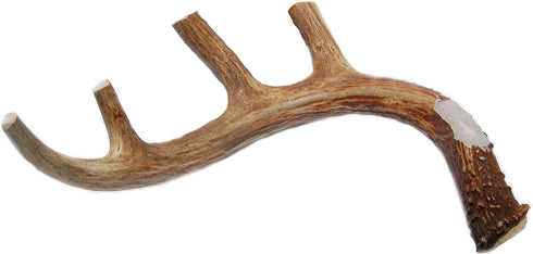 XL Deer Antler Dog Chew - Jumbo, Extra Large for Large Dogs and Aggressive Chewers