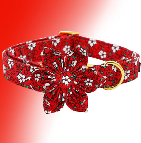 Elegant little tail Dog Collar with Flower, Christmas Flower Dog Collar for X-Small Dogs, Holiday Pet Collar