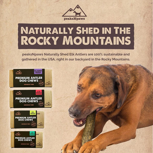 Premium All-Natural Grade A Elk Antlers for Dogs, No Additives, Made in USA (XL/Jumbo)