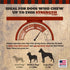 COUNTRY 7" 3 Count THE BUTCHER Beef Marrow Dog Bones for Aggressive Chewers, Large Breed Dog Treat, Natural, Tough