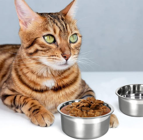 Kennel Water Bowl - 2 Packs No Spill Hanging Cage Crate Bowl for Cat, Small Dog Feeder, 2 Cups / 1 Pint