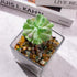 EZEELAI 0.5 Lb/230g Colorful Agate Aquarium Fish Tank Gravel Rocks, Crushed Stone Crystal Chips Bulk Natural Gemstones