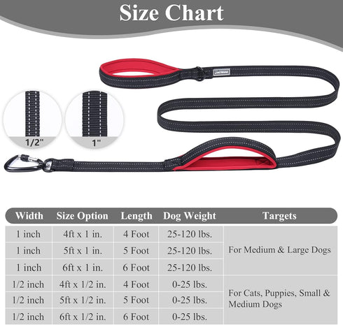 VIVAGLORY Dog Leash - Heavy Duty 4FT Nylon Lead with Aluminum Clasp & 2 Padded Handles, Black