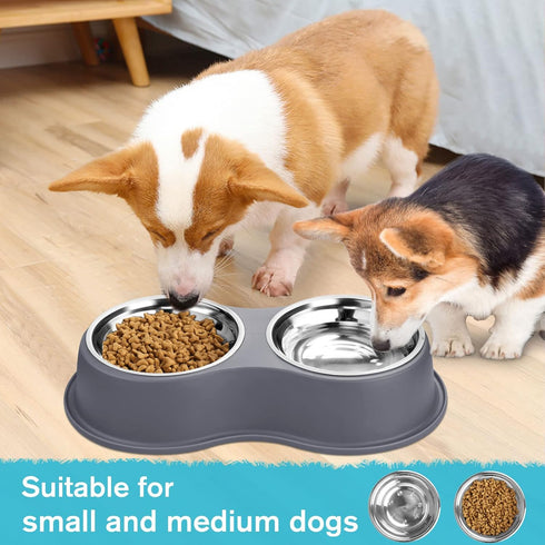 Dog Bowls Double Stainless Steel Water and Food Bowls with Non-Slip Resin Station for Medium Dogs
