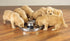 Stainless Steel Puppy Kitten Dish, Whelping Weaning Dishes Feeder, 11.8inch (2 Pack)