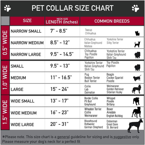 Buckle-Down Plastic Clip Collar - Taco Man - 1" Wide, Fits 11-17" Neck - Medium