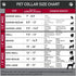 Buckle-Down Dog Collar with Plastic Clip, Black Panther Tooth Necklace, Multi Color, 1.5" Wide, Fits 18-32" Neck