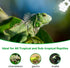 LUCKY HERP 5.0 UVA UVB Reptile Light - 15W Compact Fluorescent Lamp for Chameleons, Lizards, Tortoises, Snakes