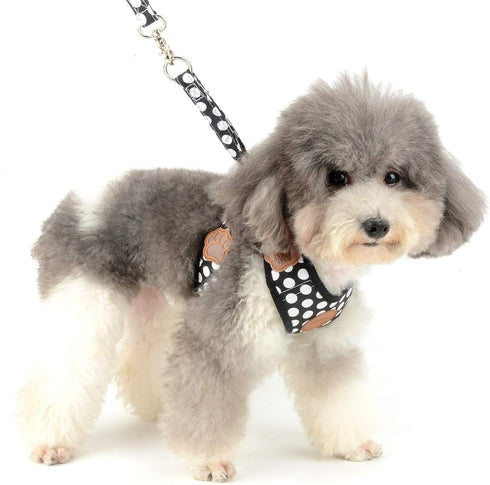 SMALLLEE_LUCKY_STORE Soft Mesh Nylon Vest Pet Cat & Dog Harness Leash Set, Black, S (Chest: 9.5"-13.5")