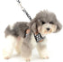SMALLLEE_LUCKY_STORE Soft Mesh Nylon Vest Pet Cat & Dog Harness Leash Set, Black, S (Chest: 9.5"-13.5")