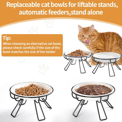 The Ultimate Cat Dining Set: 5.9 inch Ceramic Cat Water Bowl and Anti-vomiting Cat Plates with Metal Stand