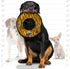 TUFFY MEGA Ring - World's Tuffest Soft Dog Toy - Squeakers, Multiple Layers, Durable, Strong & Tough, Machine Washable