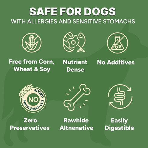 6 oz, Gaines Family Farmstead Beef Chips for Dogs Natural Single-Ingredient Dog Treats, High-Protein Rawhide-Free