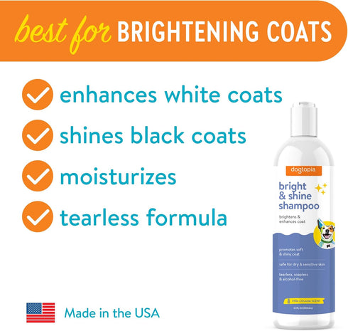 Bright and Shine Shampoo – 16oz Piña Colada Scent | Restoring Shampoo Rich with Soothing Colloidal Oatmeal | Tearless and Alcohol-Free for Everyday Use