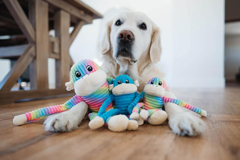 ZippyPaws Spencer The Crinkle Monkey, Colorful Plush Dog Toy with Squeakers for Aggressive Chewers