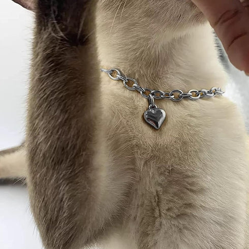 Dog Collar and Cat Chain Necklace, Stainless Steel Adjustable 18K Silver Heart-Shaped Necklace for Small Pets (Sliver,