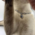 Dog Collar and Cat Chain Necklace, Stainless Steel Adjustable 18K Silver Heart-Shaped Necklace for Small Pets (Sliver,