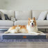 Extra Large Orthopedic Dog Bed - XXL Waterproof Bed with Removable Washable Cover & Anti-Slip Bottom, Grey