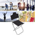 Fdit Mini Folding Chair, Portable Folding Camping Chair Folding Lawn Chair Breathable Fabric Small Backrest Fishing