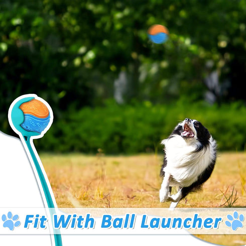 6Pcs Squeaky Dog Balls, Tough Training Toys for Dogs, High Bouncy Balls for Interactive Play and Teething (2.5in)