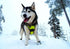 TRUE LOVE TLH5651 Adjustable No-Pull Dog Harness, Reflective Pup Vest Harnesses in Neon Yellow, Size L