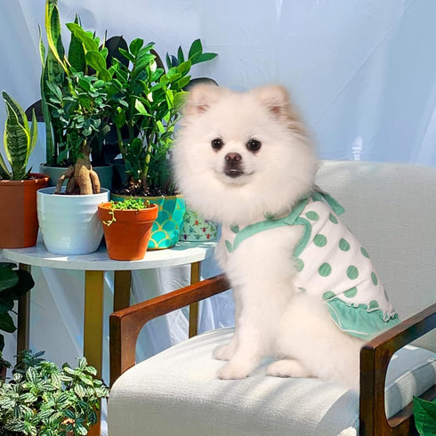 TONY HOBY Summer Dog Dress - Soft Party Dress with Polka Dots for Small Medium Dogs, White & Green