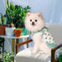 TONY HOBY Summer Dog Dress - Soft Party Dress with Polka Dots for Small Medium Dogs, White & Green