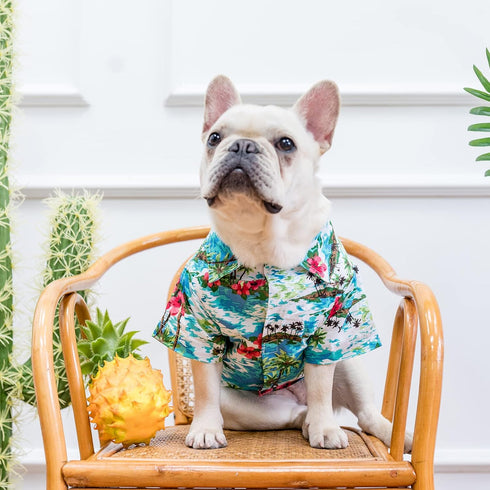 EXPAWLORER Dog Hawaiian Shirt, Summer Clothes, Breathable Polo T-Shirts with Floral and Sea Island Pattern
