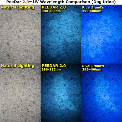 2.0 UV Pet Urine Detector Black Light LED Flashlight + Cat & Dog Behavior Guide, Finds Invisible Stains